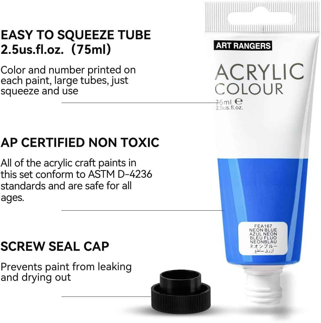 6 Acrylic Paint Art Supplies Set,75 ml Tubes,Fluorescent Color - TTpen