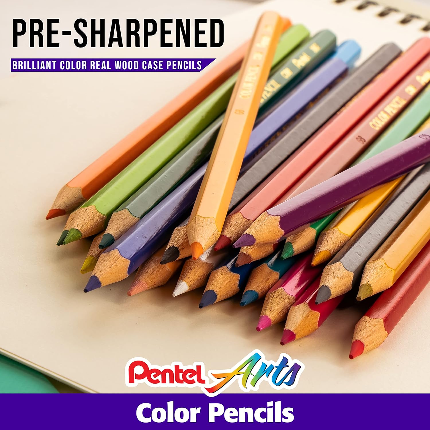 Pentel Arts Colored Pencils,12/24 Assorted Colors