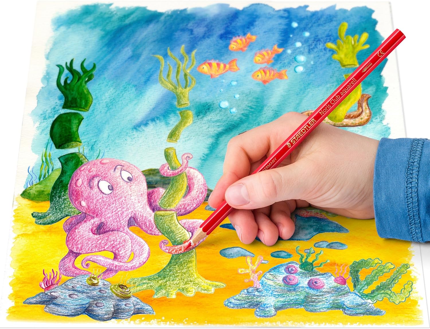 STAEDTLER 144 Noris Aquarell 24 Watercolour Pencils Plus Paint Brush