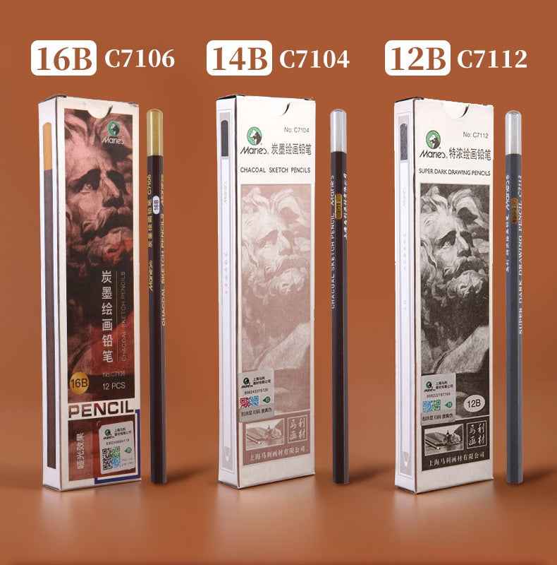 Marie's 12 Pack Charcoal Pencils Pitt Graphite Matt 12B/14B/16B - TTpen