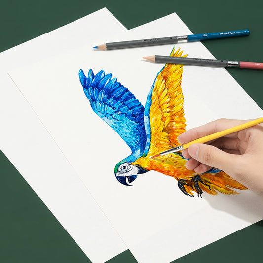 DELI Nusign NS731 Premium Akwarelowe Kredki | Zestaw 48/72