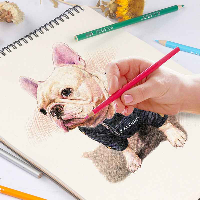 KALOUR Sketchbook,9x12 Inches 60 Sheet Sketchpad 78lb/100gsm(2 Pack) - TTpen