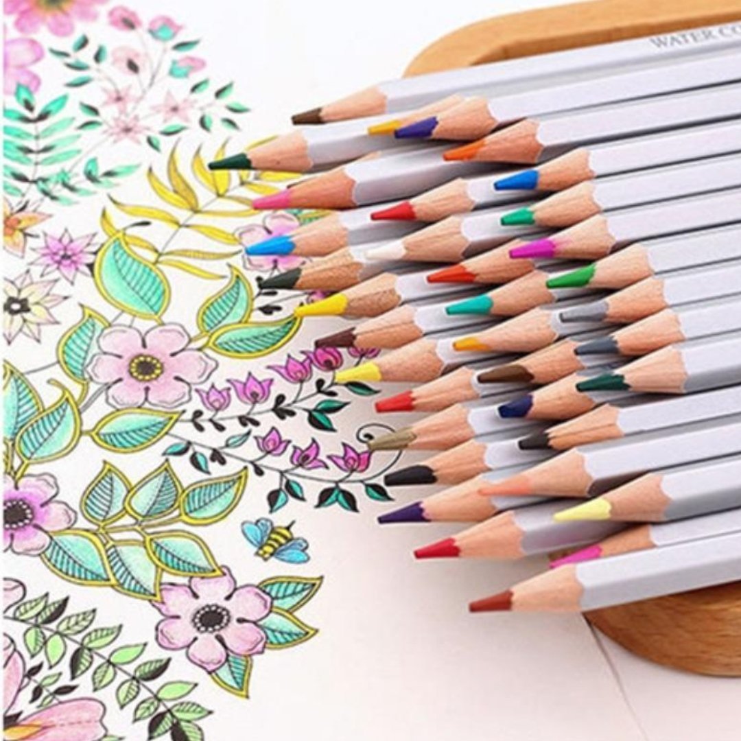 Deli Arte Nuevo Watercolor Pencils 24 36 48 Pack