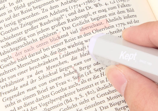 RAYMAW Fuji Kept Student Erasable Highlighter 2 Colors