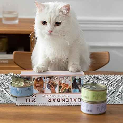 Cat Balls Calendar 2024 - TTpen