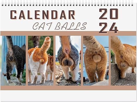 Cat Balls Calendar 2024