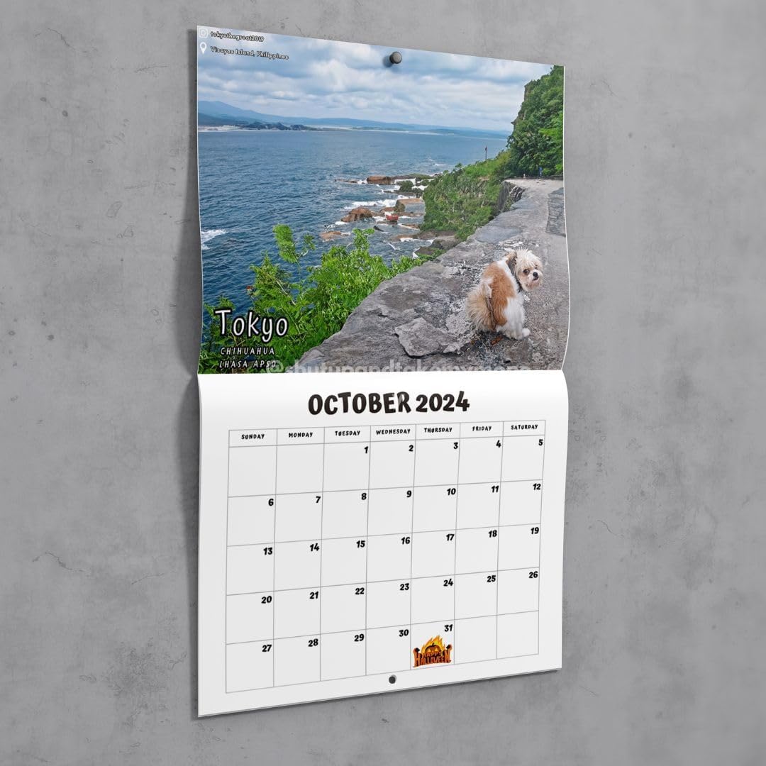 Dogs Pooping In Beautiful Places 2024 Calendar
