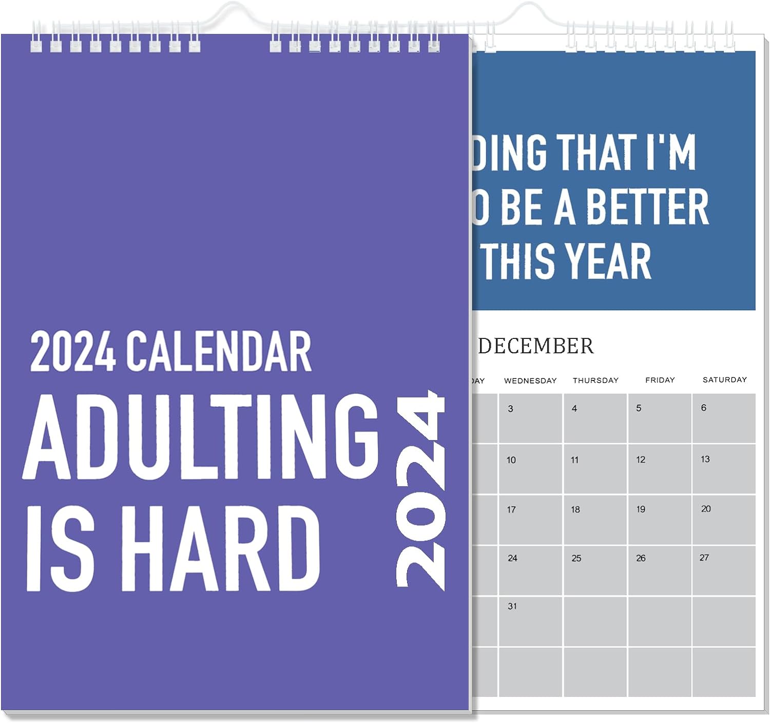 Adulting is Hard 2025 Calendar