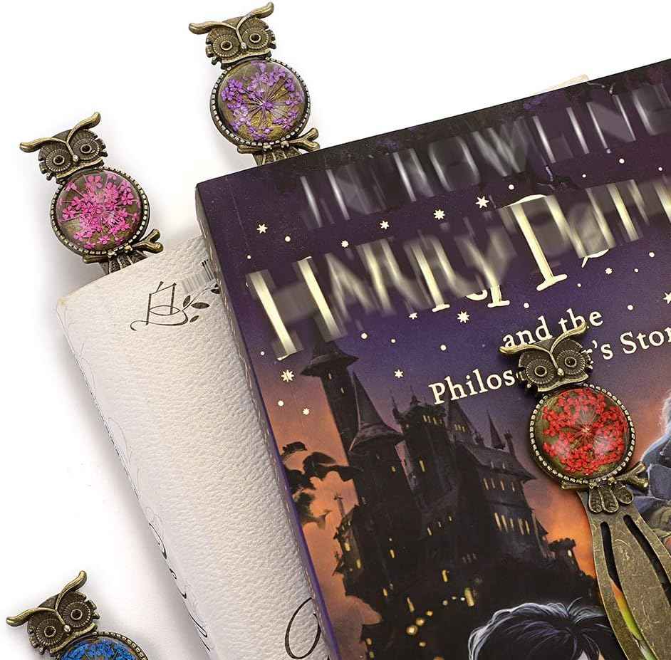 6 Metal Bookmark Clips Vintage Owl Bookmark Ruler with Dried Flower - TTpen