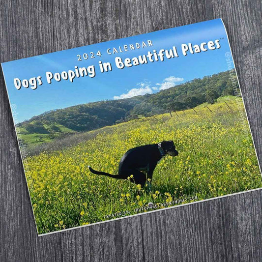 Dogs Pooping In Beautiful Places 2024 Calendar - TTpen