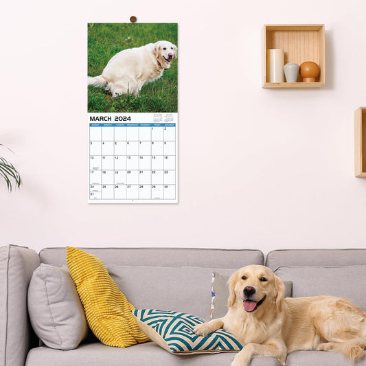 2024 Wall Calendar Crapping Dogs