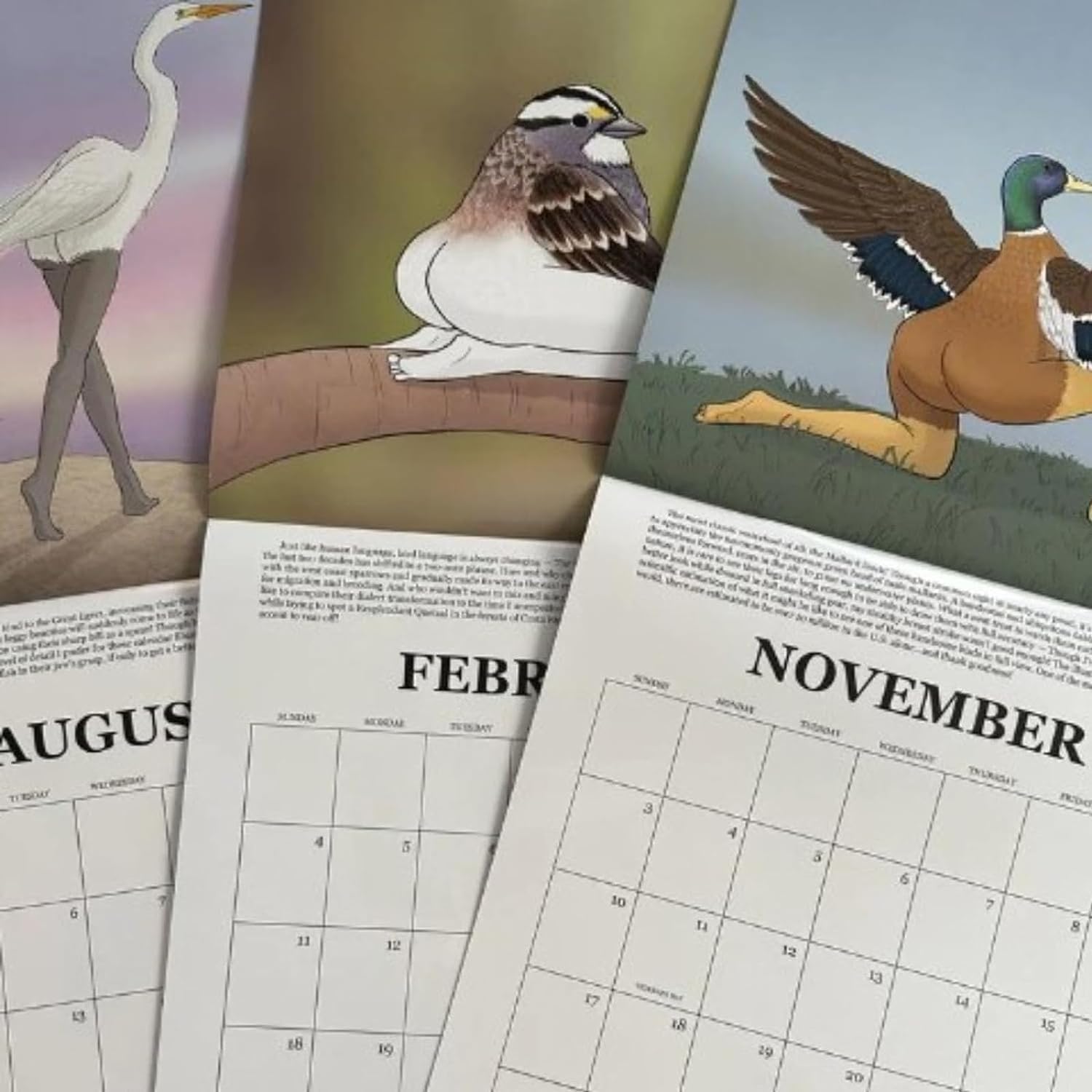 2024 Wall Calendar of Extremely Accurate Birds
