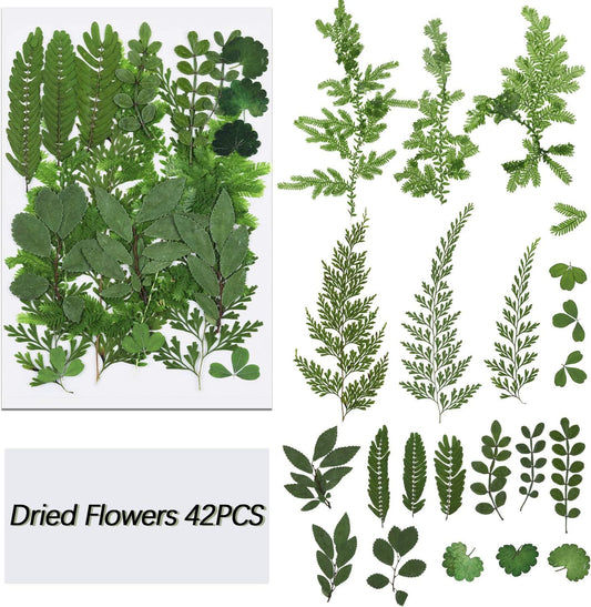 42Pcs Dried Pressed Leaves Dried Flowers for Art Craft DIY