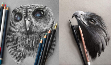 Drawing Landscapes and Animals with Colored Pencils
