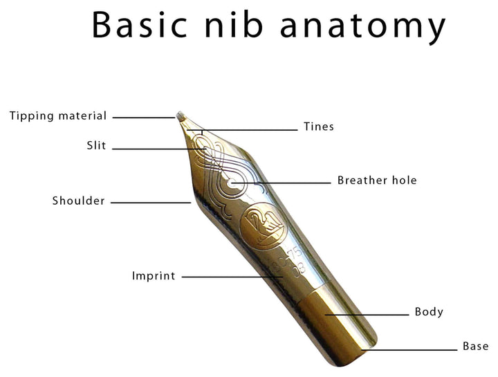 Understanding Fountain Pen Nibs A Comprehensive Guide