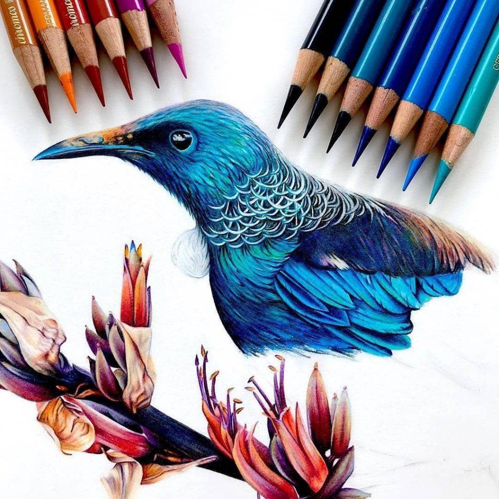 Colored Pencil Drawing Ideas for Advanced Artists