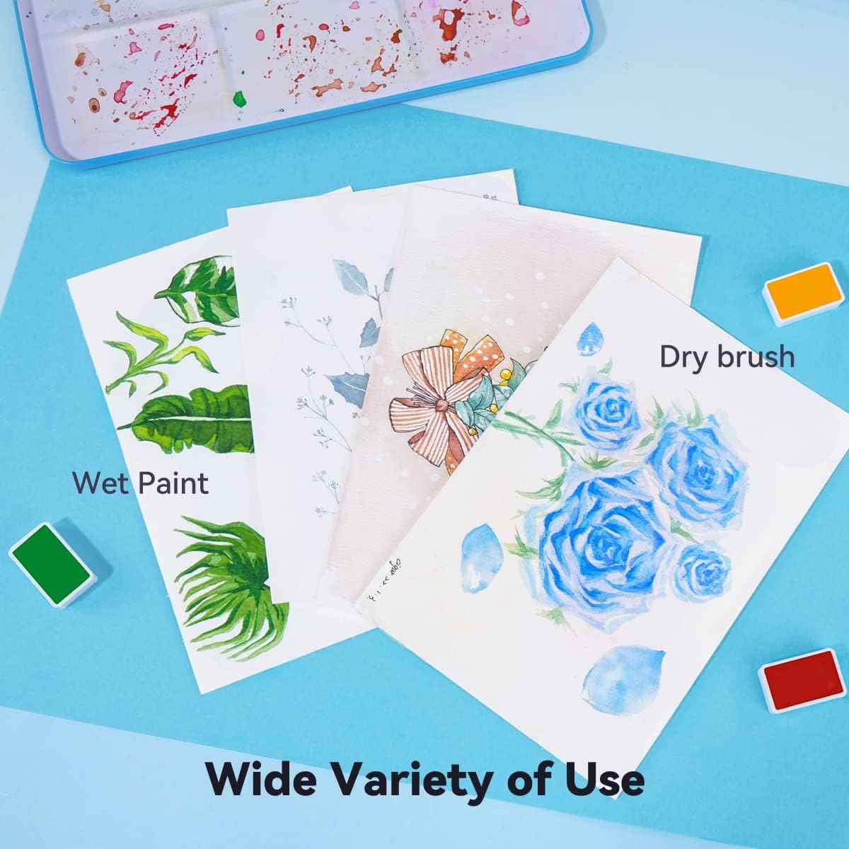 Paul Rubens Watercolor Paint Set Full Pan, 24 Vivid Colors