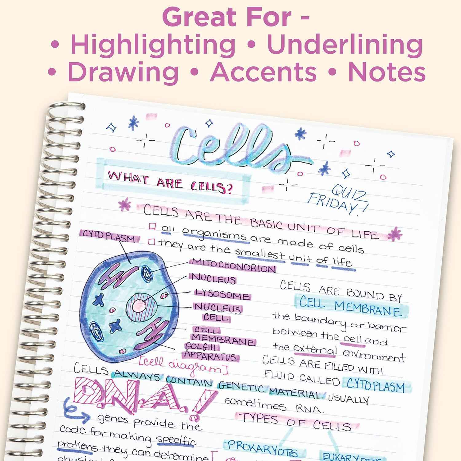 Zebra Mildliner Dual-Tip Highlighter Marker Pens Set,25 Colors