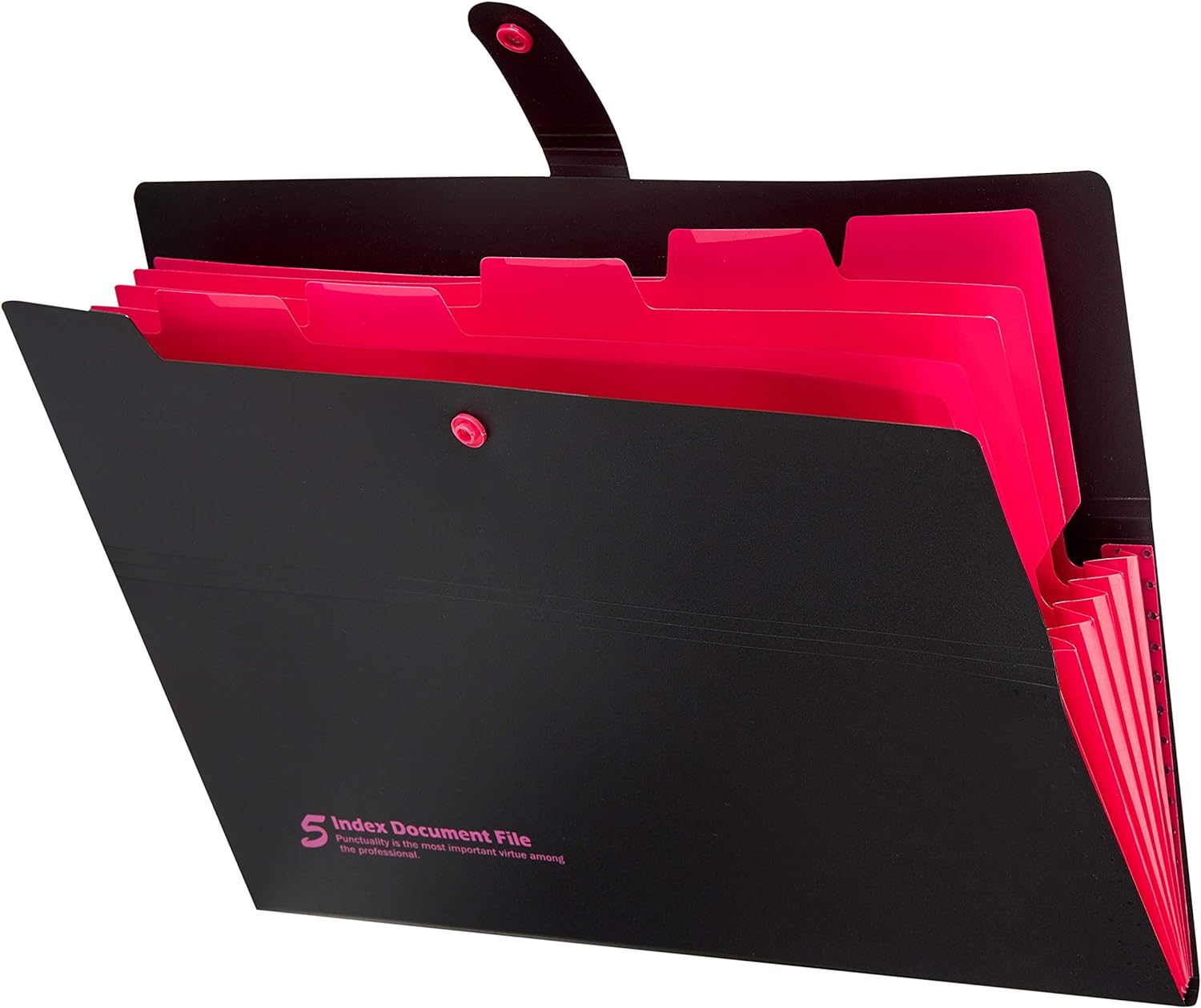 4 Pack Expanding File Folders with 6 Pockets,A4 Letter Size