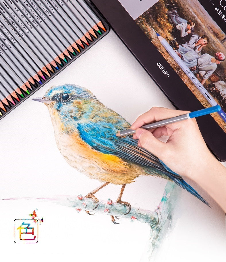 DELI Watercolor Pencils,24/36/48/72 Colors Tin Box with Paint Brush - TTpen