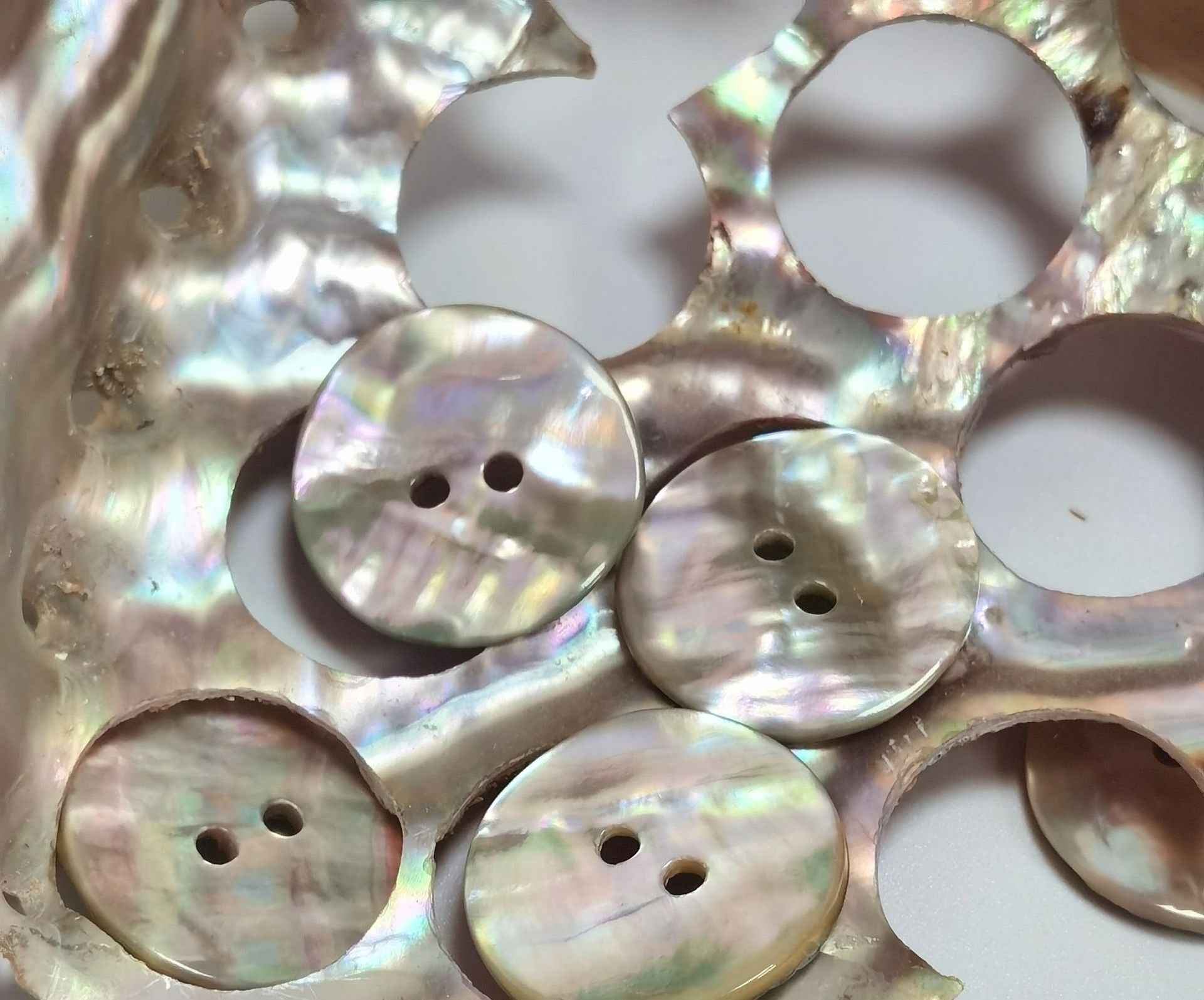 Abalone shell buttons with 2 holes, iridescent white and pastel rainbow sheen, assorted sizes