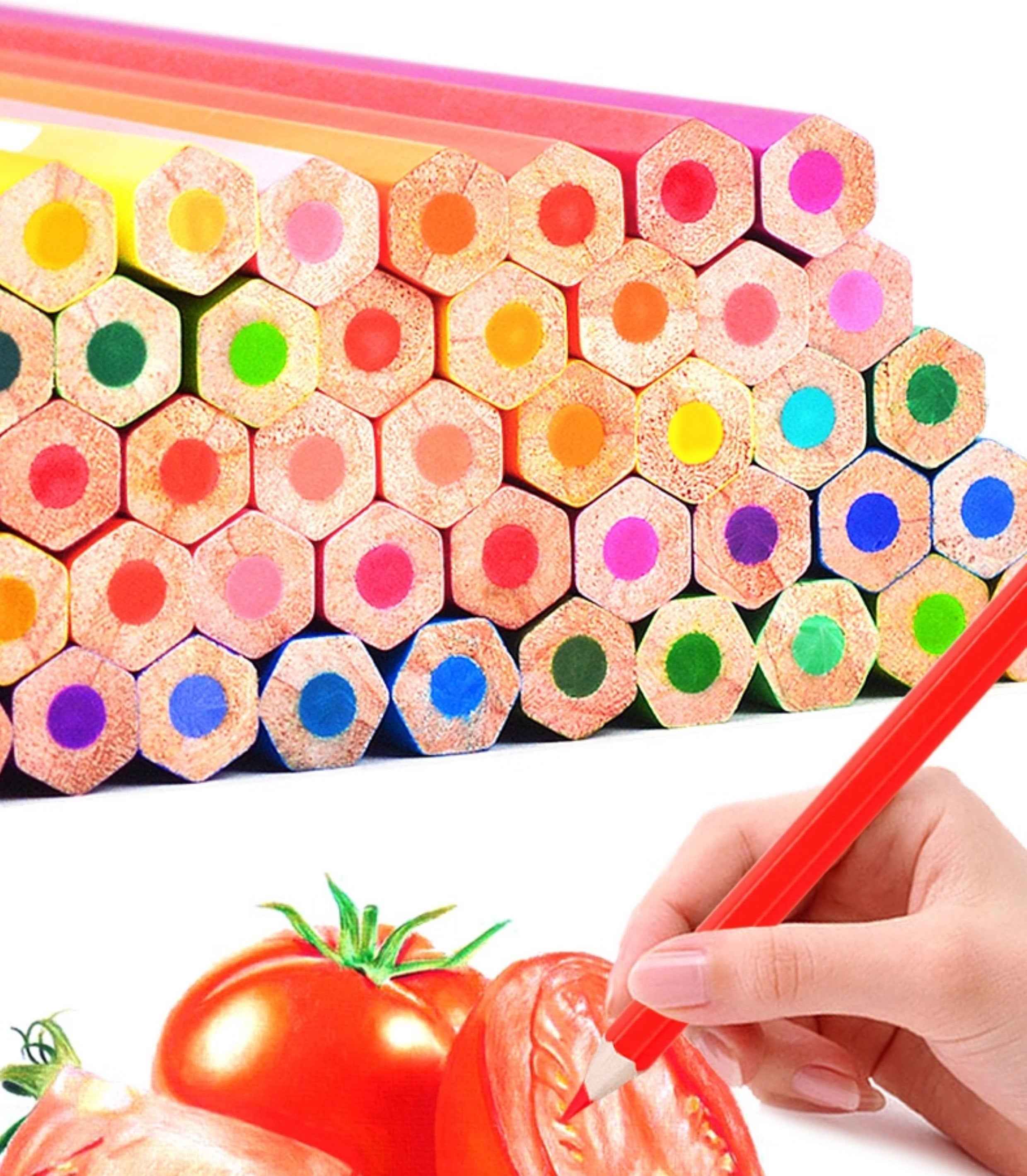 Faber Castell Watercolor Colored Pencils 100 Colors