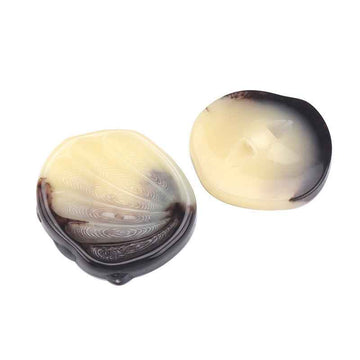 Imitation shell-shaped resin coat buttons, cream top with dark edge, 2 shown