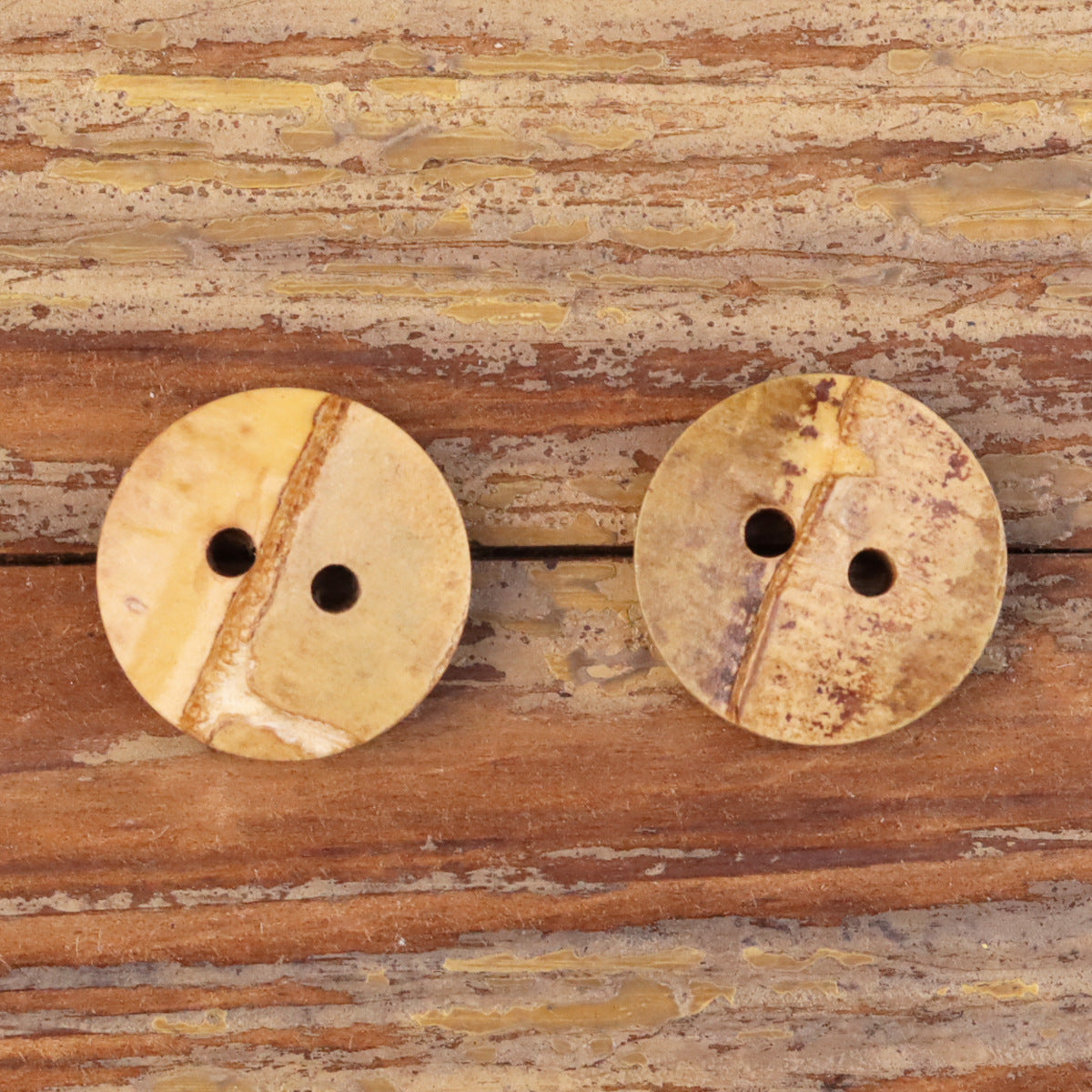 Pair of natural bamboo two-hole buttons, tan rounds with two holes