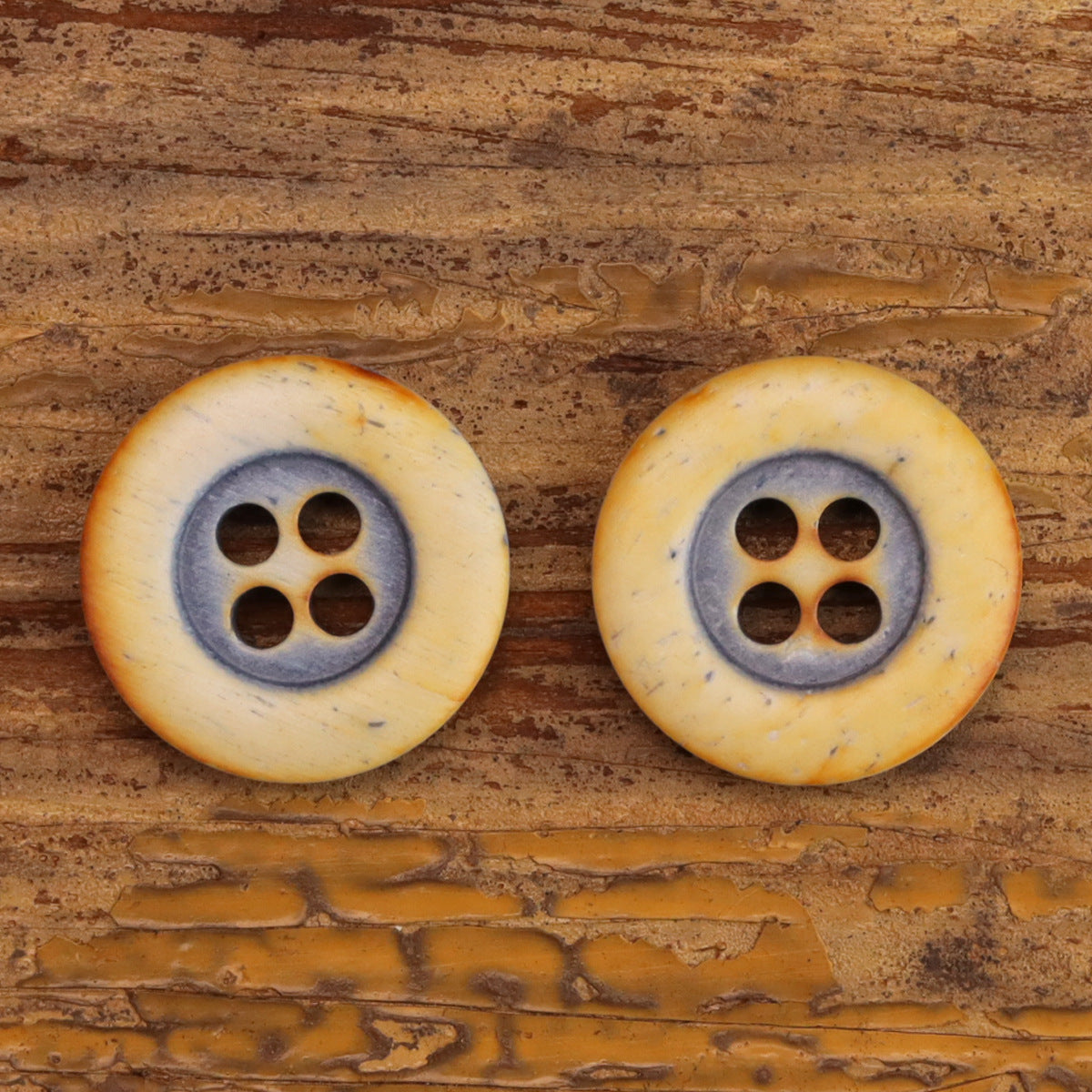 Pair of round 4-hole bovine bone buttons, golden tan with gray edging, rounded edge