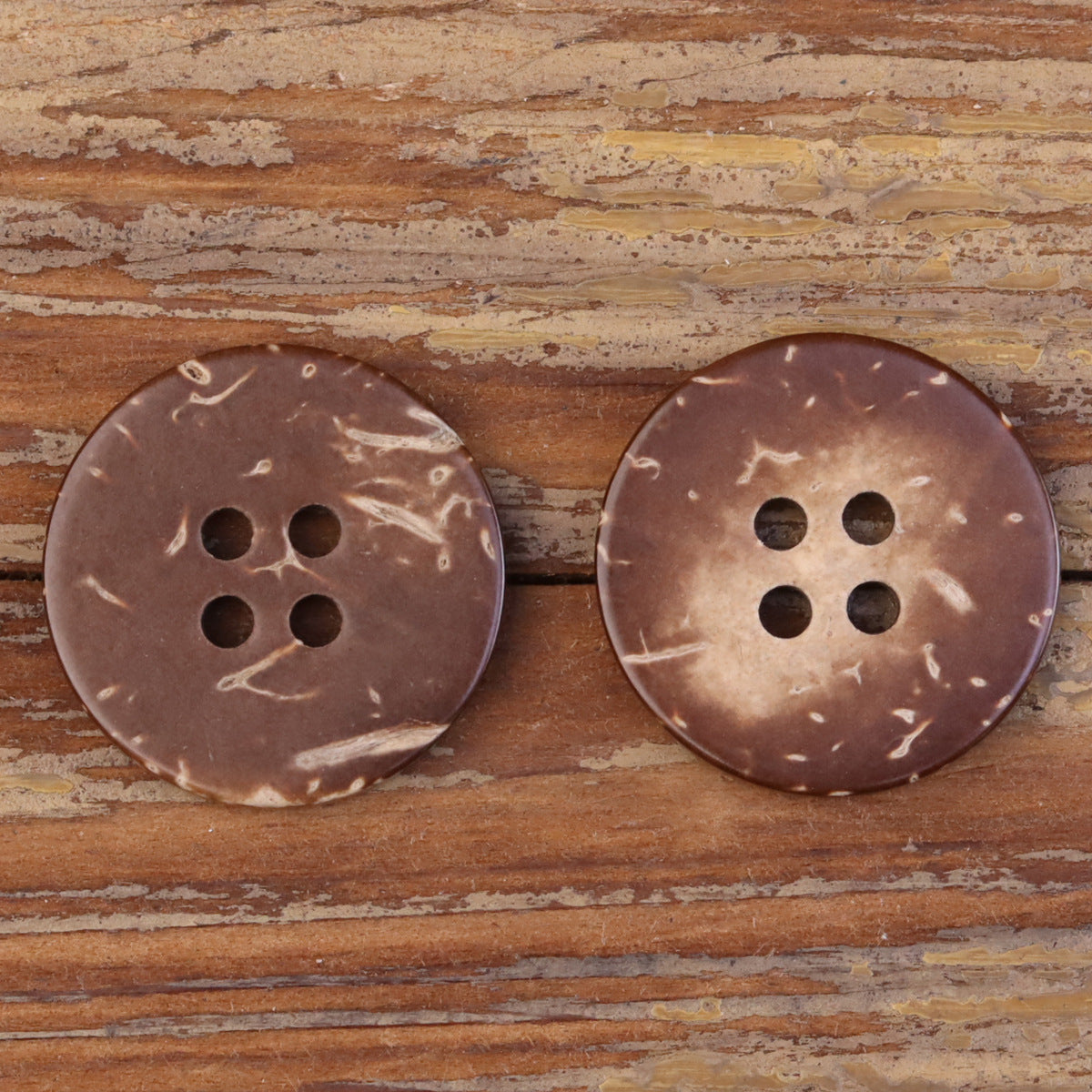 Two dark brown coconut shell buttons, round 4-hole layout with glossy natural striations