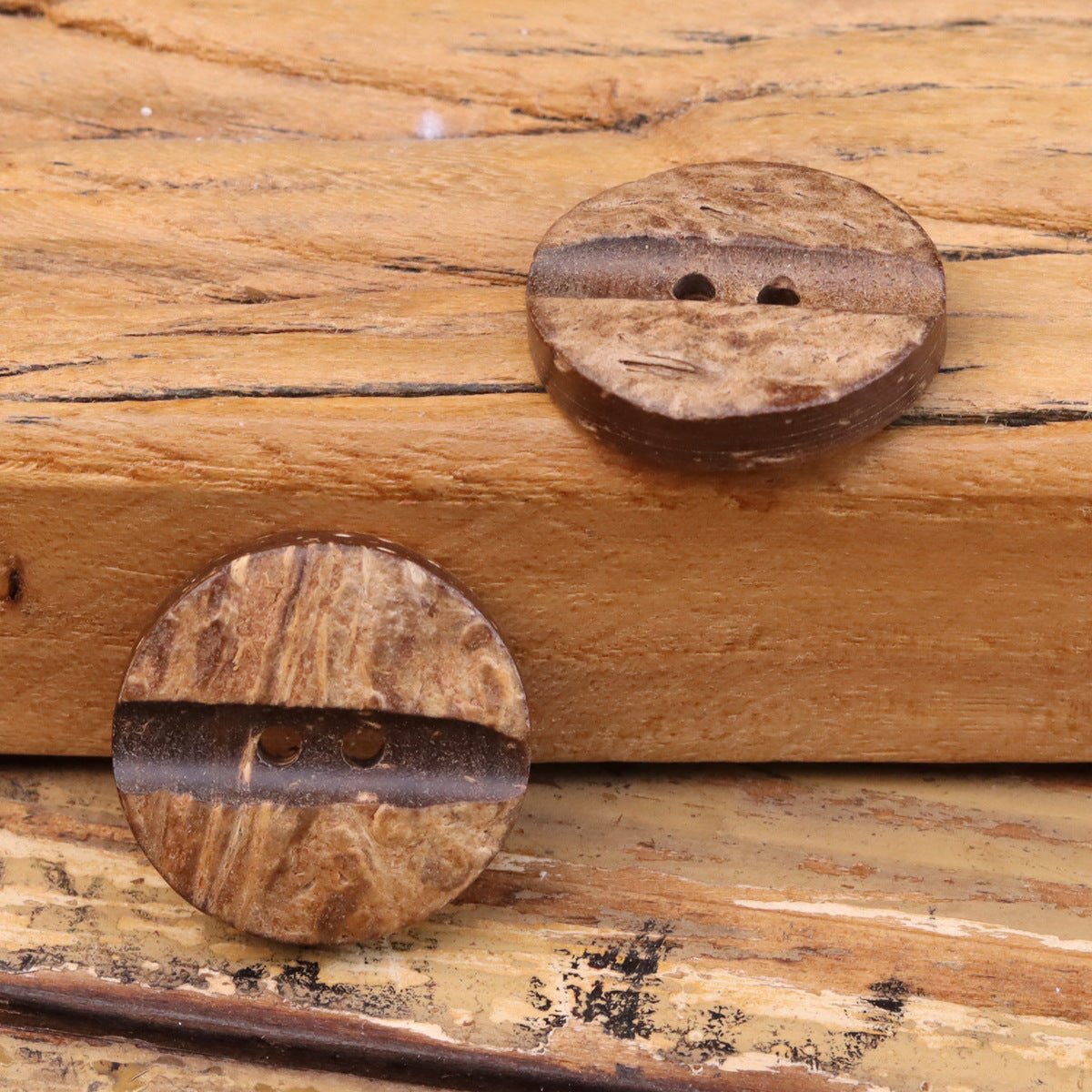 Single natural coconut shell button, thick two-hole top, round 36L