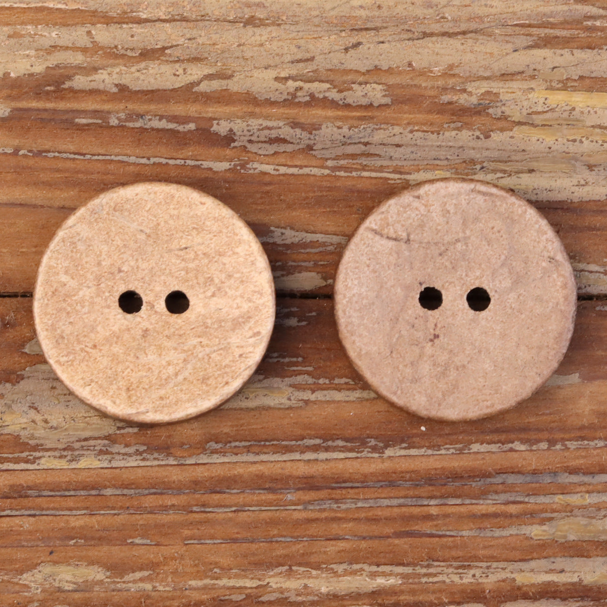 Pair of natural coconut shell buttons, two holes each, thick round 36L