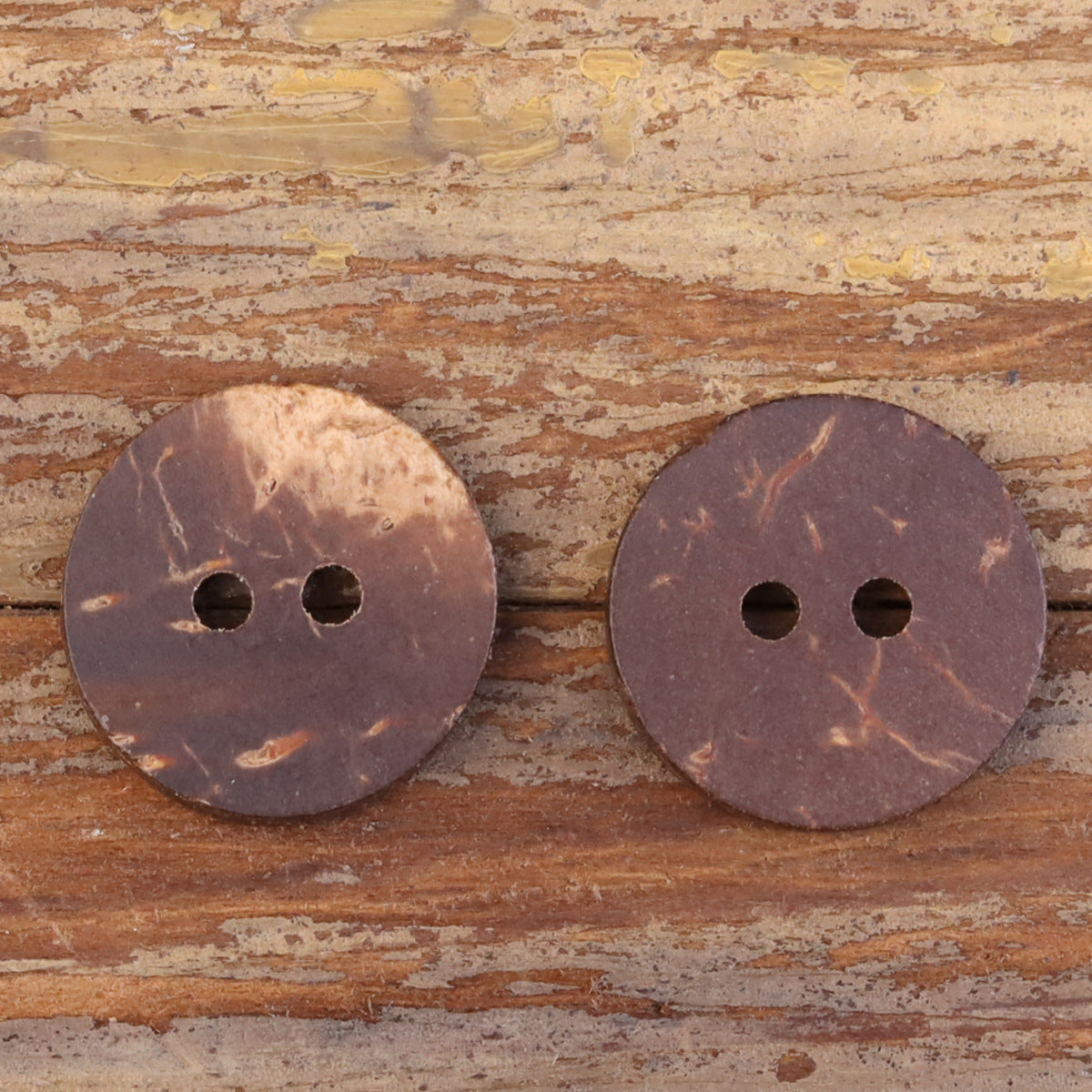 Two dark coffee fish-eye coconut shell buttons, round with two holes.