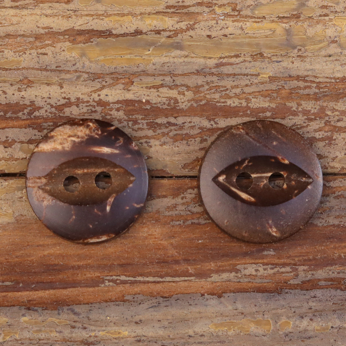 Two dark coffee fish-eye coconut shell buttons on wood, two holes each.