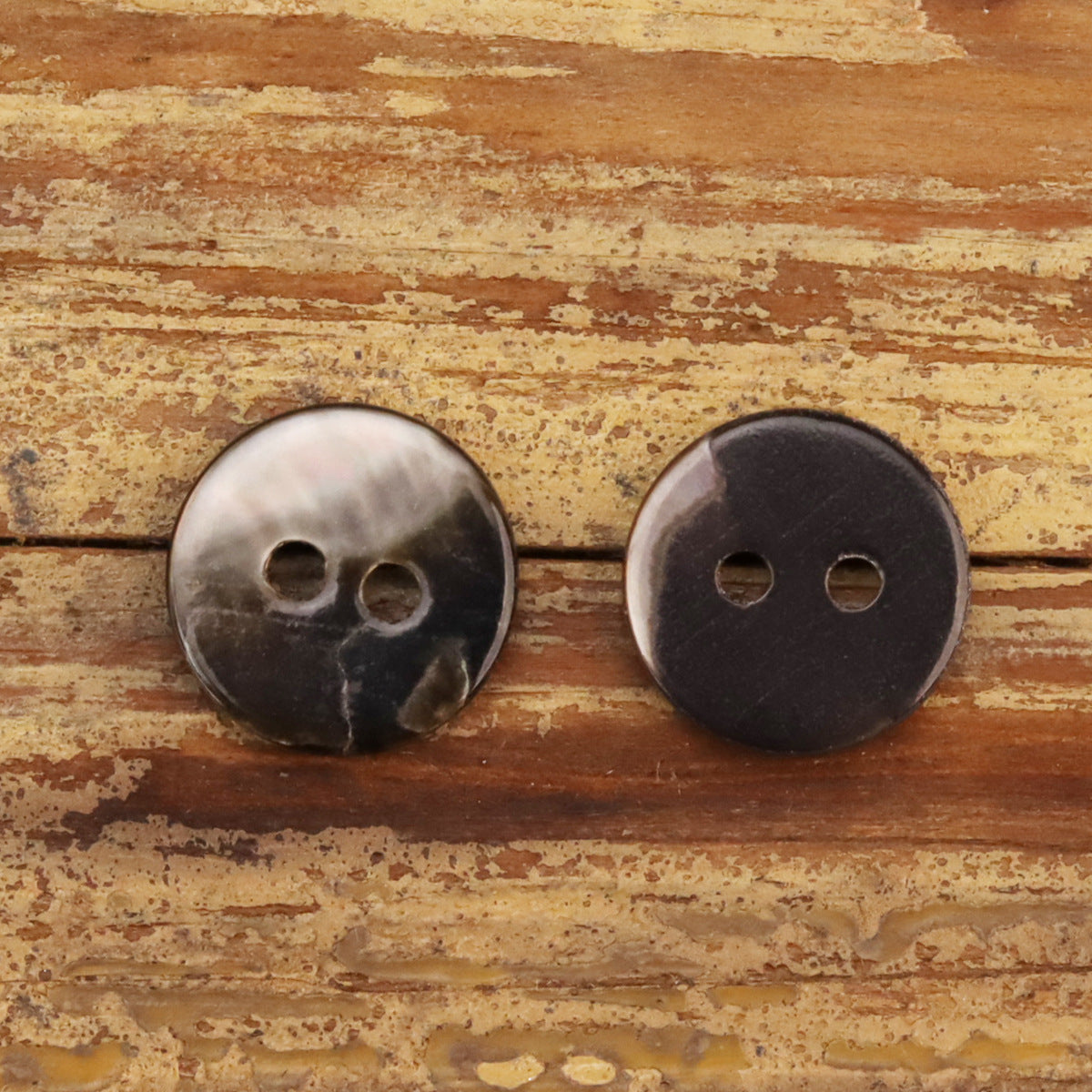 Two-hole shell buttons showing back and front views in dark and iridescent finishes