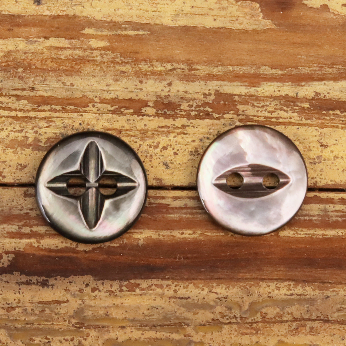 Round shell buttons: dark starburst face and pale mother-of-pearl face, two-hole style