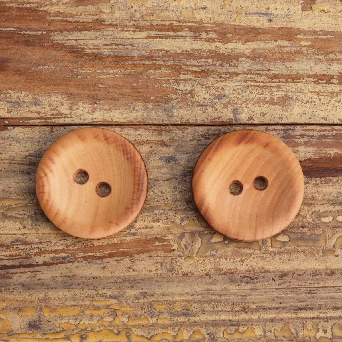 Runde Holzknöpfe mit zwei Löchern, 2 Stück, Vorderansicht