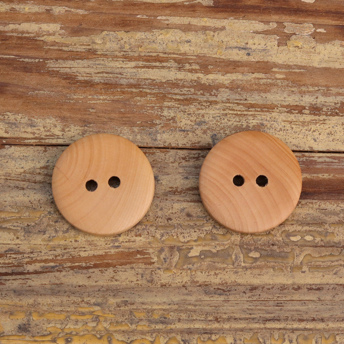 2 runde Holzknöpfe mit zwei Löchern, flache Vorderansicht
