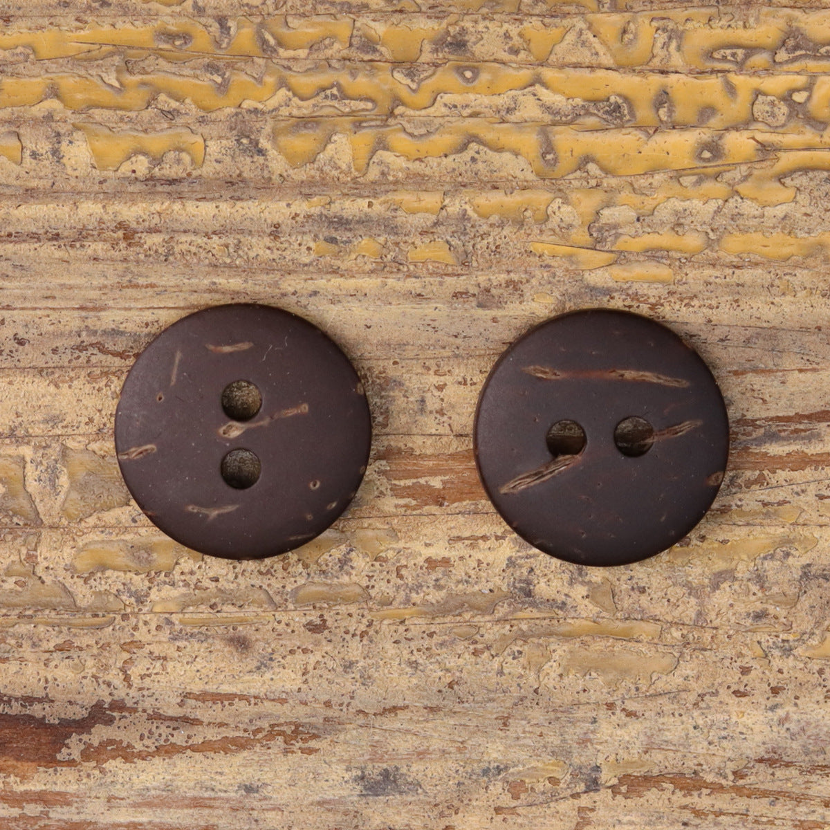 Two round two-hole coconut buttons in dark coffee-bean brown with subtle markings