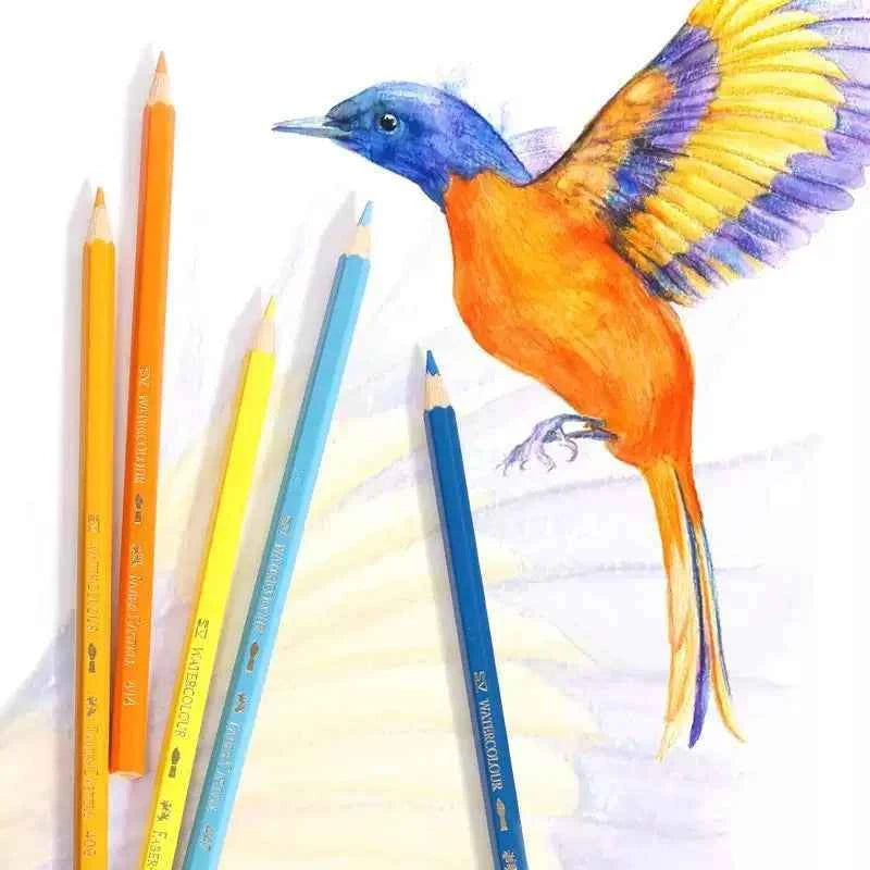 Faber Castell Watercolor Colored Pencils 100 Colors