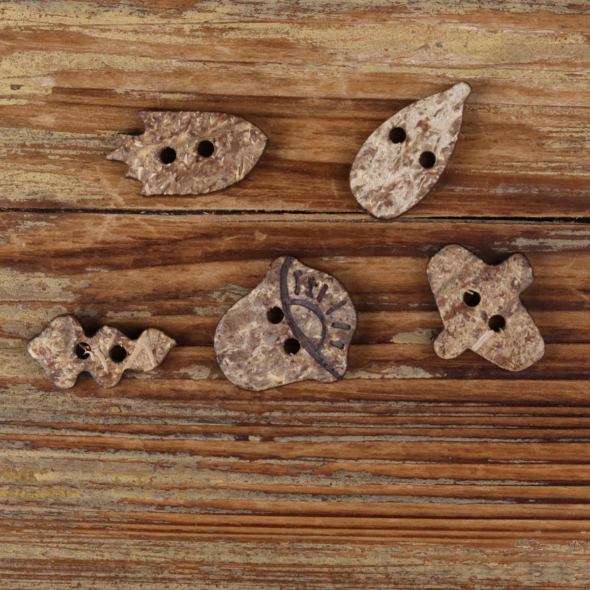 Assorted coconut shell novelty buttons with two holes each in five different shapes