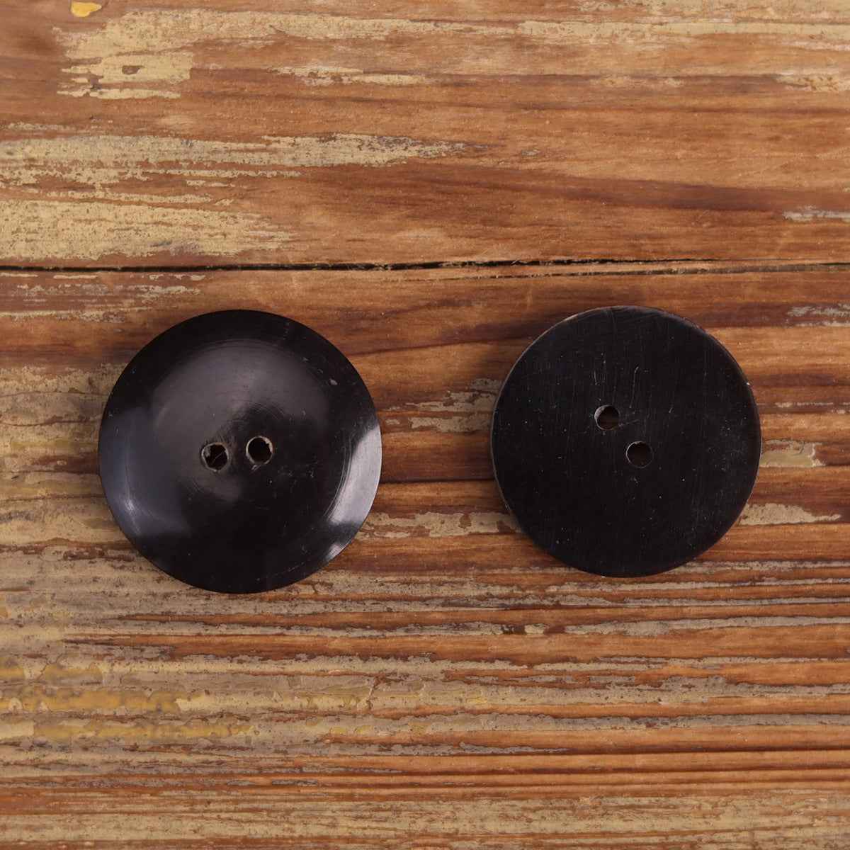 Two round horn buttons with two holes, dark backs and smooth glossy finish