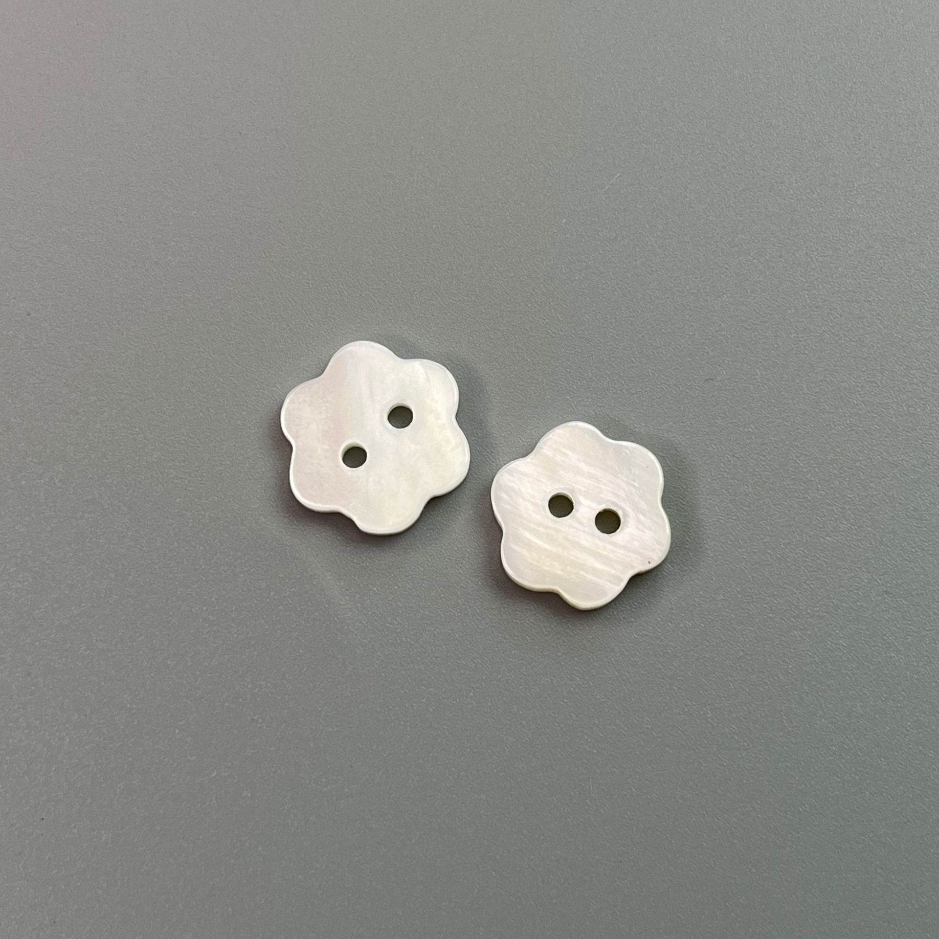 Close-up of natural shell flower buttons with two holes, light white finish