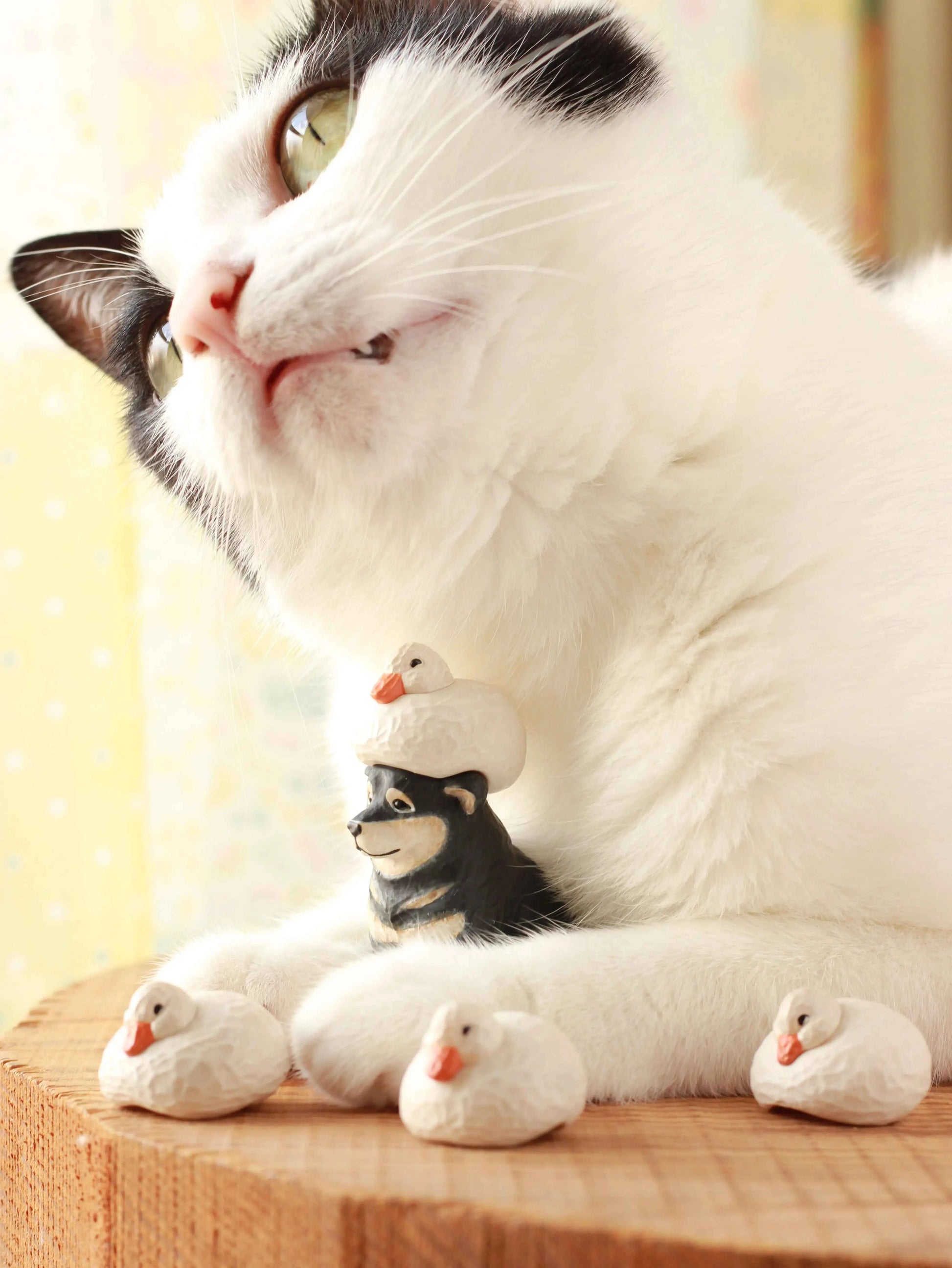 Akane Carved Duck & Dog Gacha 4 Types Pack