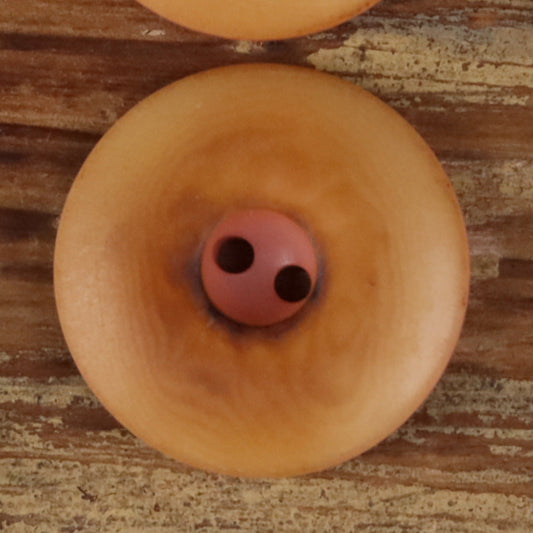 Close-up round two-hole seed button in pale tan with dark brown holes