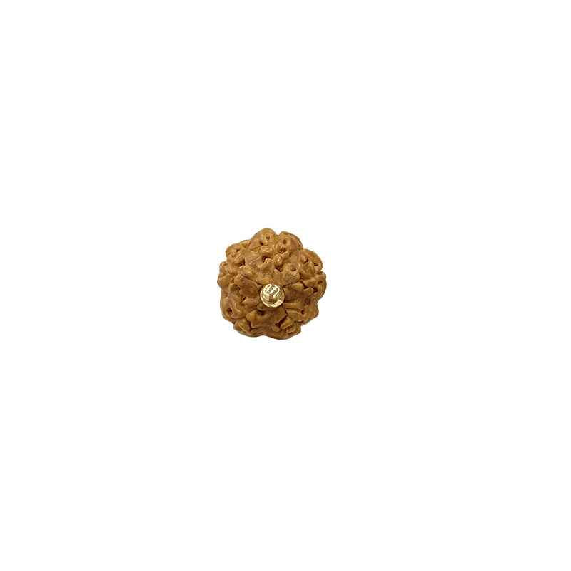 9mm irregular brown fruit-seed shell button, round textured, small gold loop