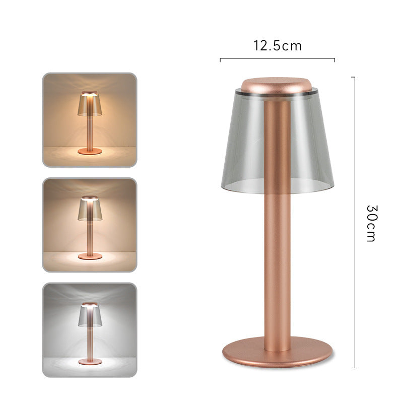 USB Rechargeable Aluminum Table Lamp Clear Acrylic Shade Gold