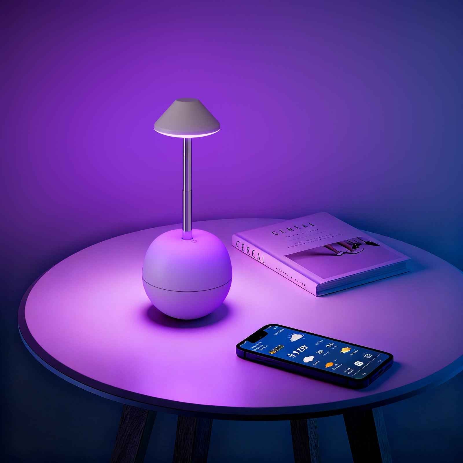 LED Night Light Rechargeable with Remote Telescopic Stem Wobble Base