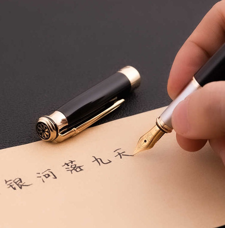 Pimo 903 Fountain Pen Fine Nib Sweden Flower King