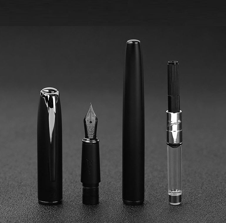 Picasso 916 Malage Fountain Pen New Version - TTpen